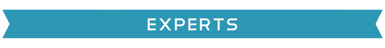Experts Experts header
