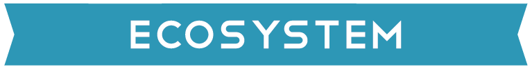 Our Ecosystem Banner