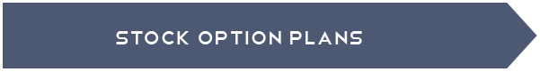 Definition Heading: Stock Option Plans