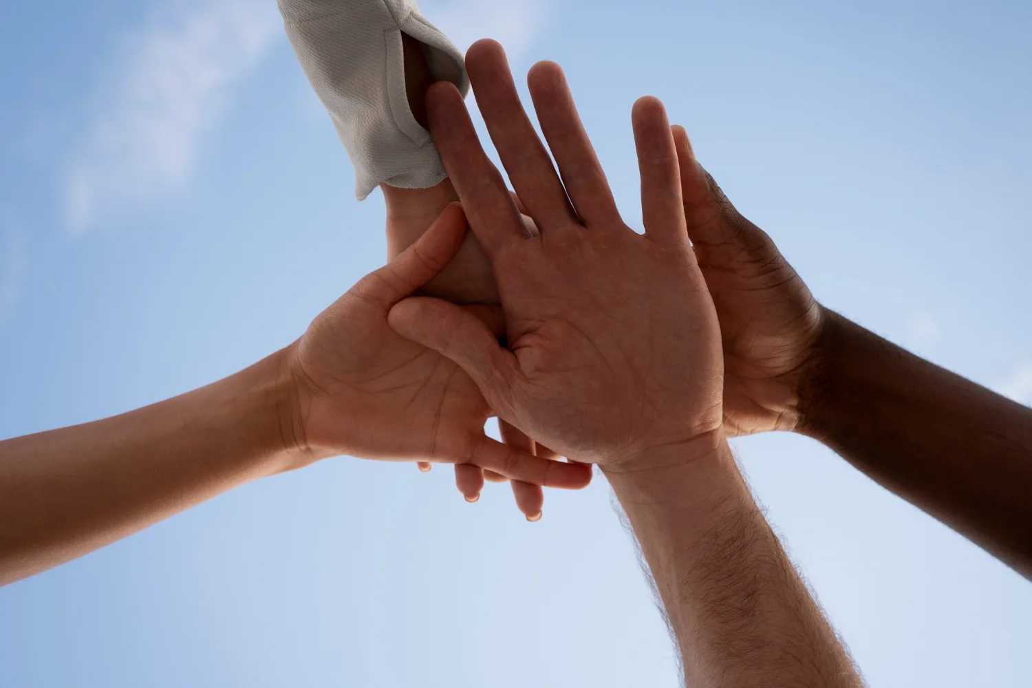 {{brizy_dc_image_alt entityId=